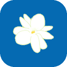 PT BATI Mulia Sejahtera